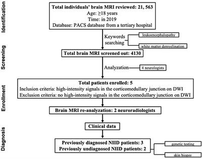 Unraveling rare form of adult-onset NIID by characteristic brain MRI features: A single-center retrospective review